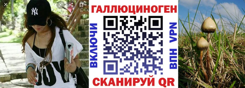 Галлюциногенные грибы Psilocybine cubensis  Мглин 